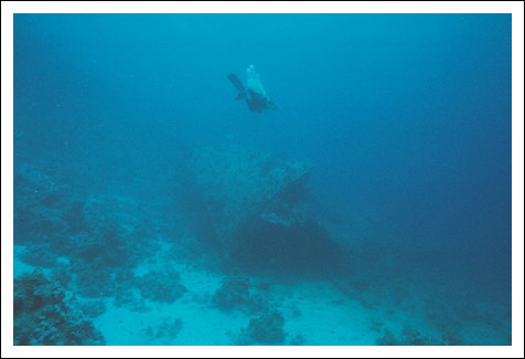 Scan531