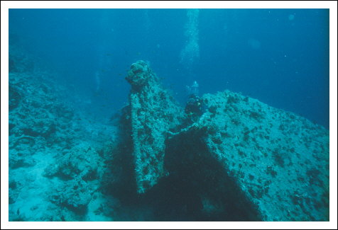 Scan560