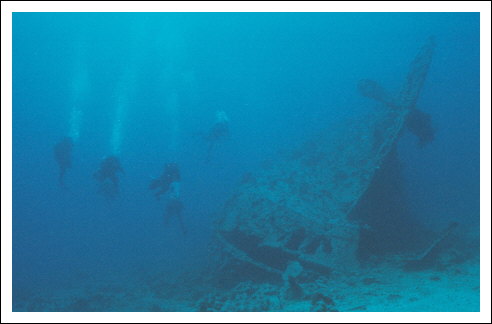 Scan567