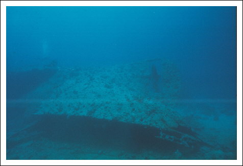 Scan571