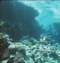 Scan600
